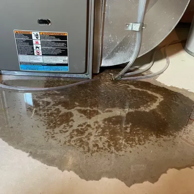 Appliance Leak Cleanup in Zephyrhills North, FL